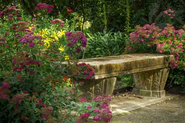 Bench at Boerner