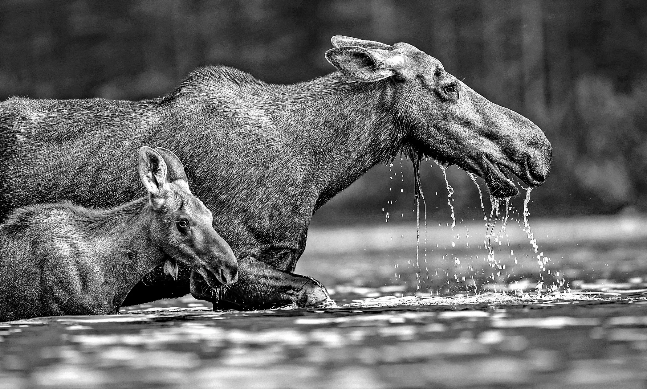 By Moms Side~Larry Janssen.jpg