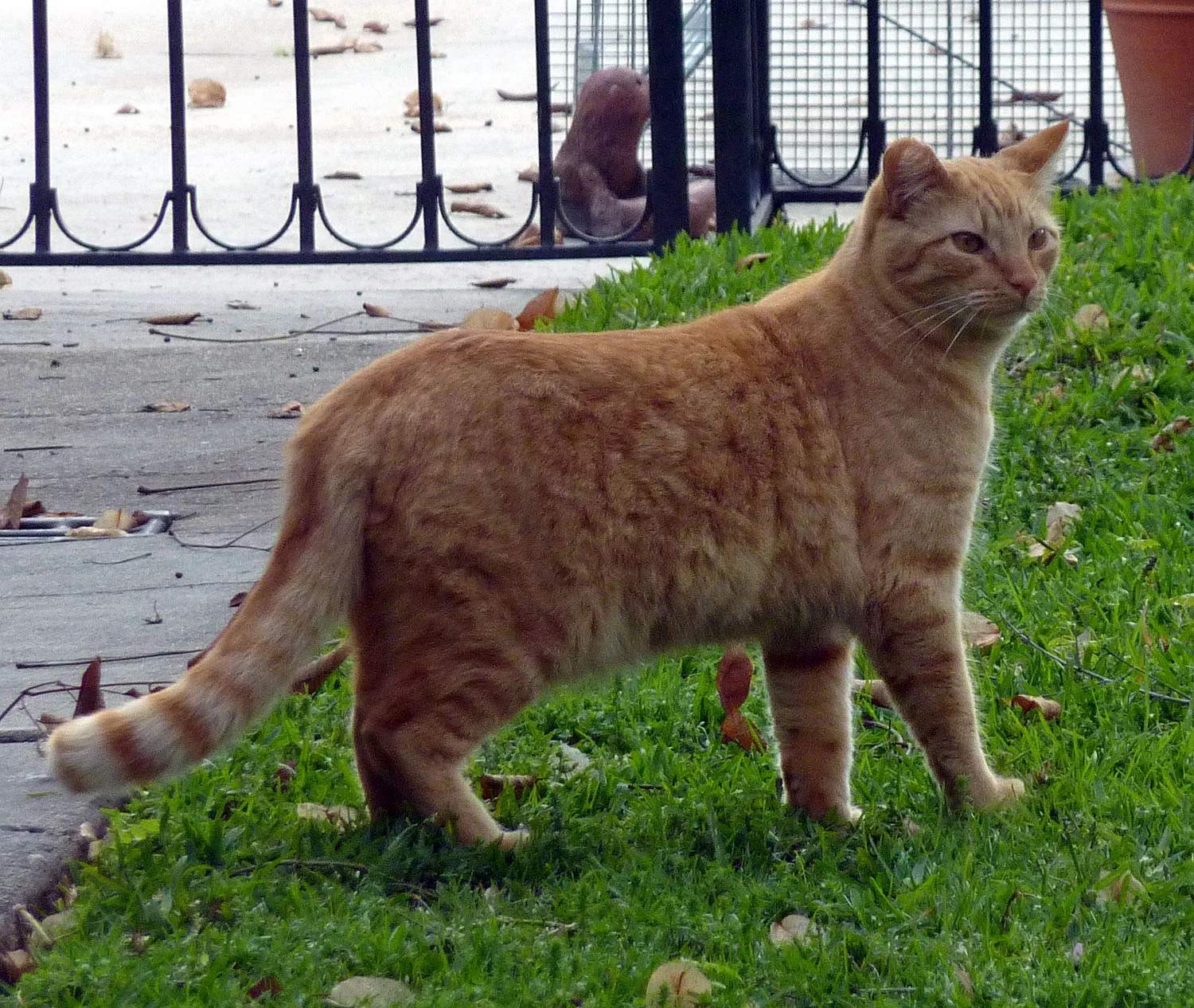2015-2-23 Oskar.jpg