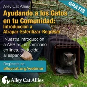 Alley Cat Allies TNR Webinar in Spanish July 20th, 2016