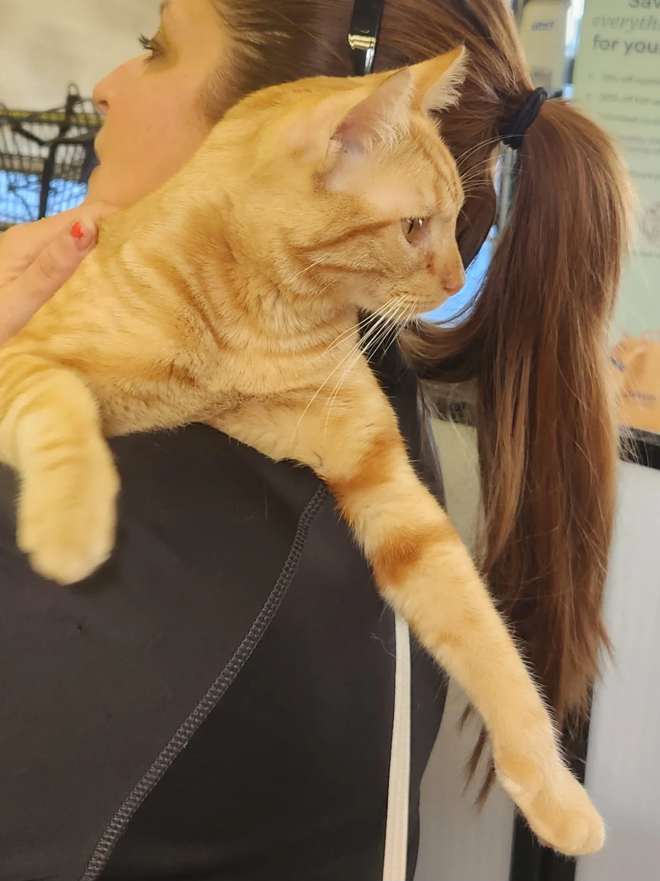 Charlie gallery photo 1