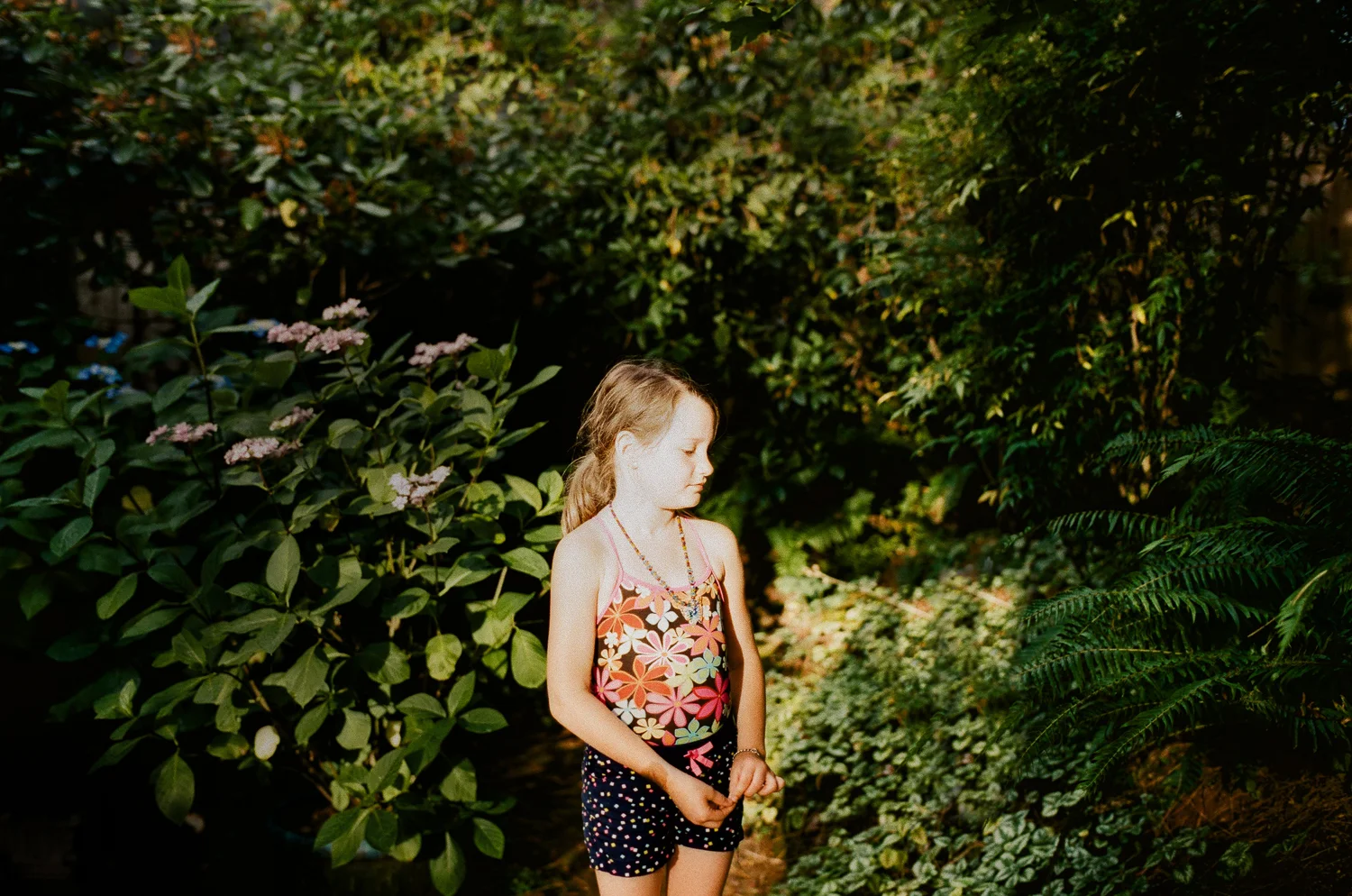 one-day-one-roll-July7.jpg