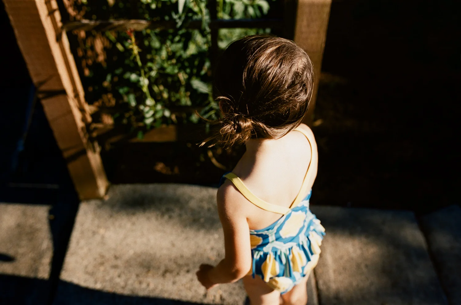 one-day-one-roll-July15.jpg