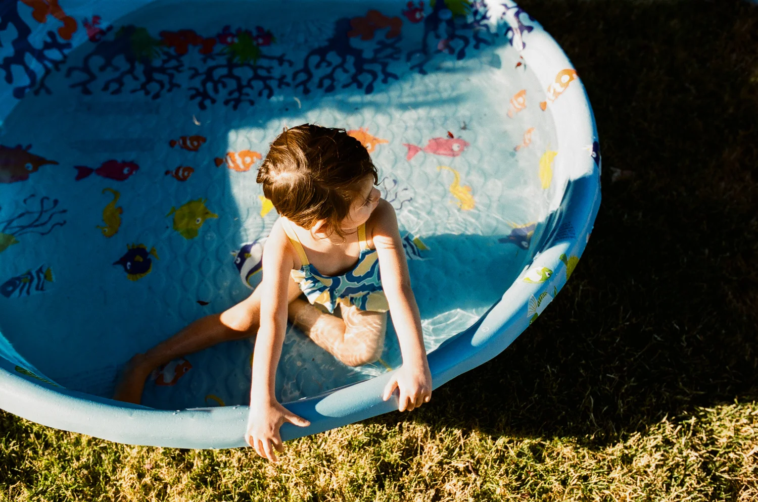 one-day-one-roll-July16.jpg