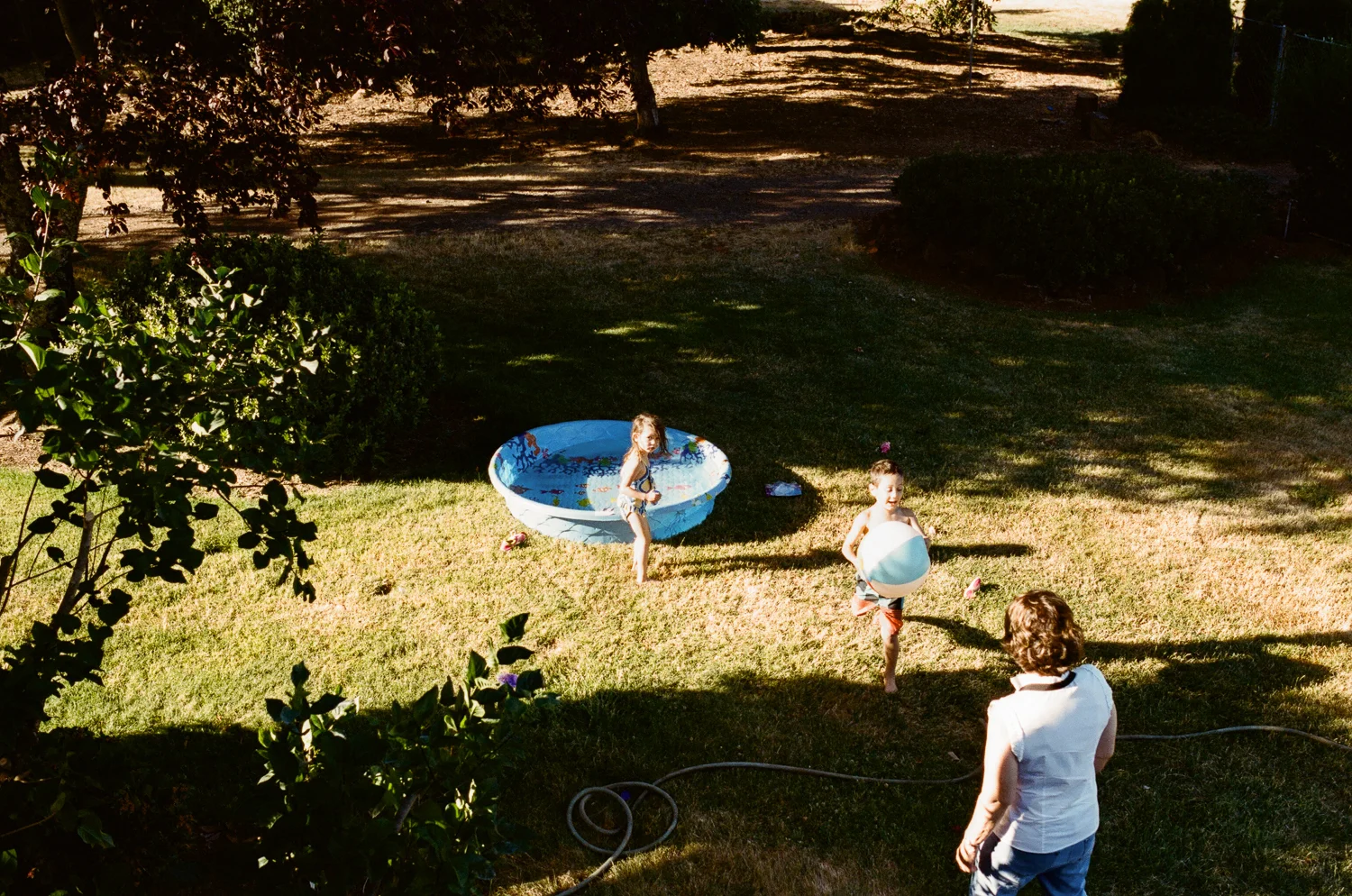 one-day-one-roll-July19.jpg