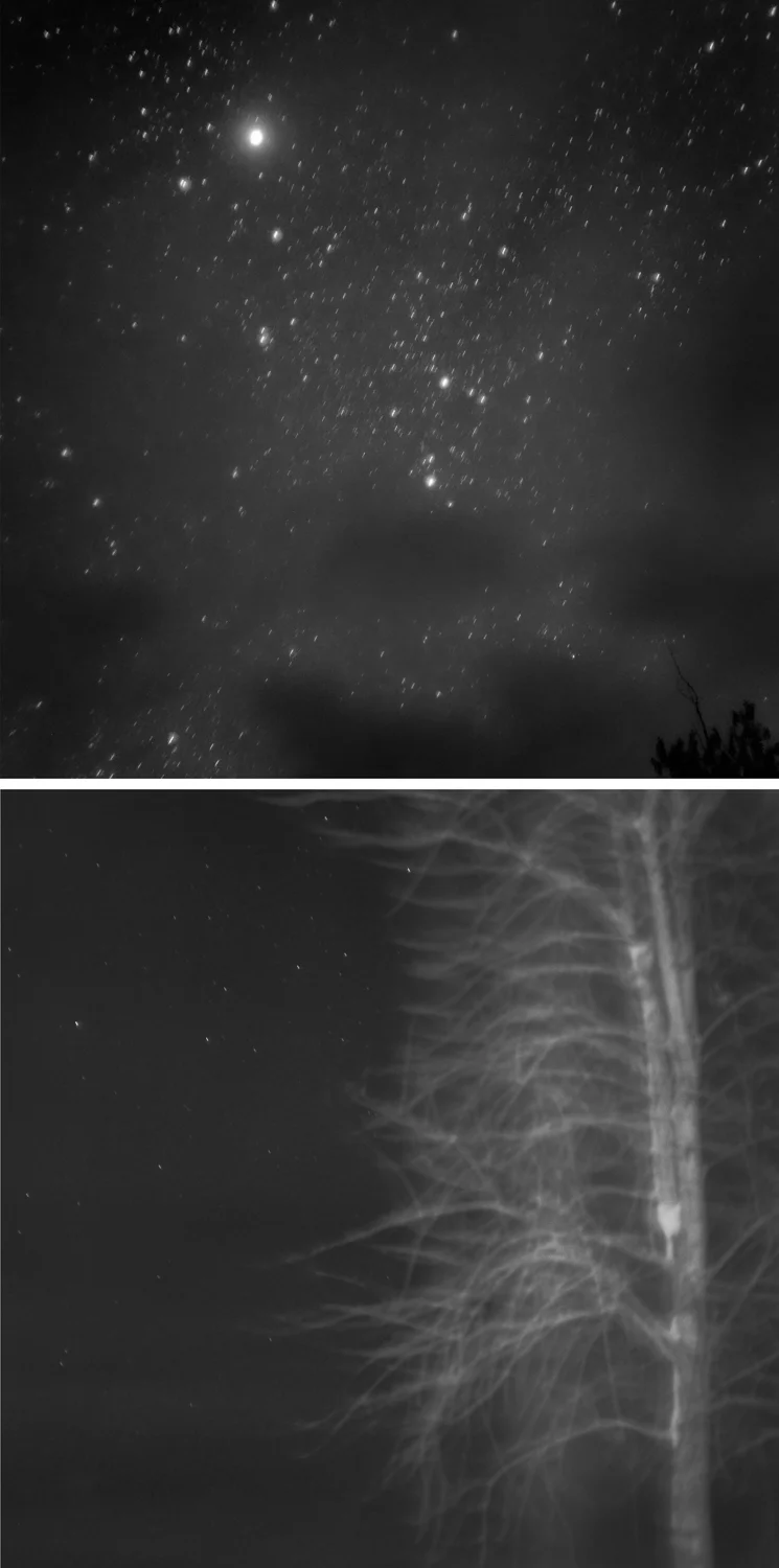 MM, Starry Starry Night 4149-2828.jpg