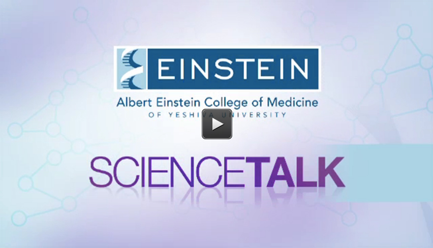 Researchers Find Key Used By Ebola Virus To Unlock Cells | 08.24.11