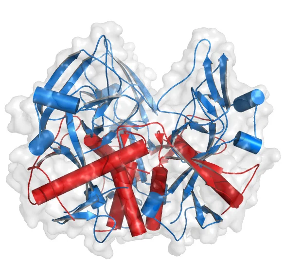 A mutation in the Ebola virus envelope glycoprotein restricts viral entry in a host species and cell-type specific manner