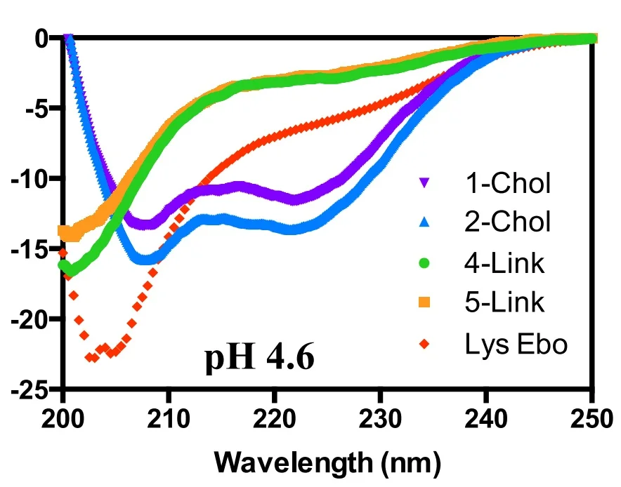 C-Peptide inhibitors of Ebola virus glycoprotein-mediated cell entry: Effects of conjugation to cholesterol and side chain-side chain cross linking