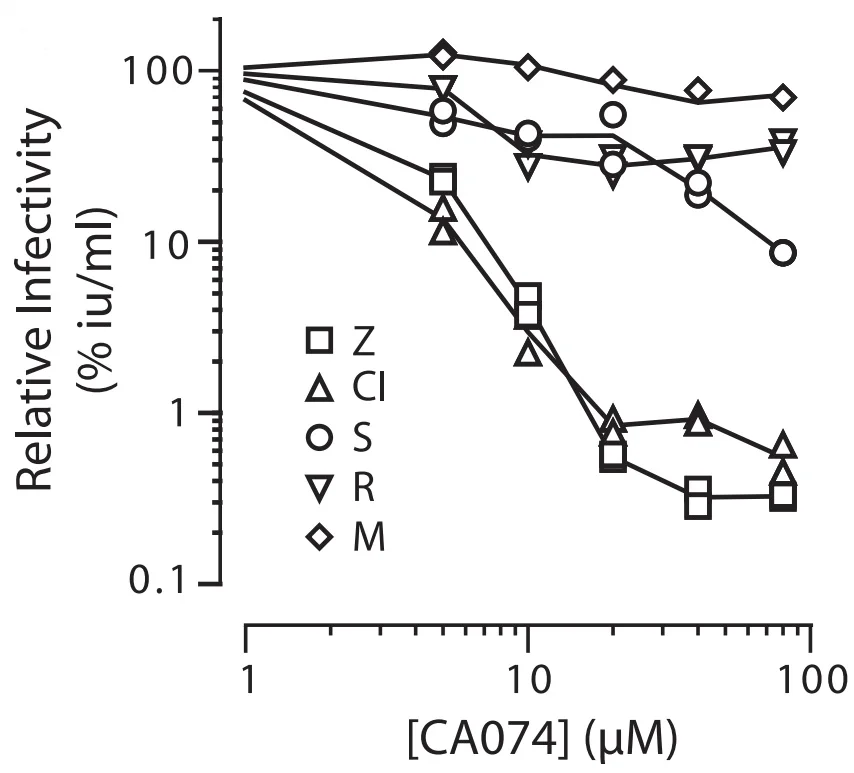 Filoviruses require endosomal cysteine proteases for entry but display distinct protease preferences