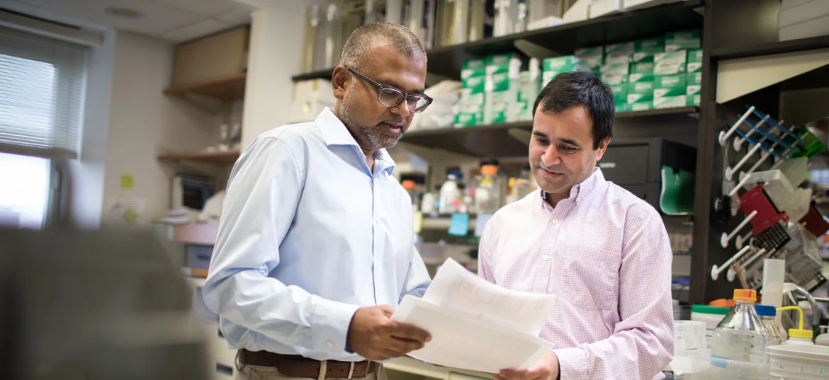 Kartik Chandran, Ph.D., and Rohit Jangra, Ph.D.