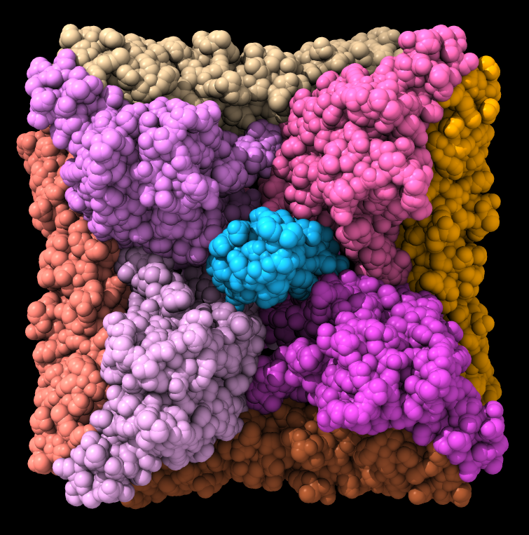 Hantavirus receptor paper publishes in Nature!