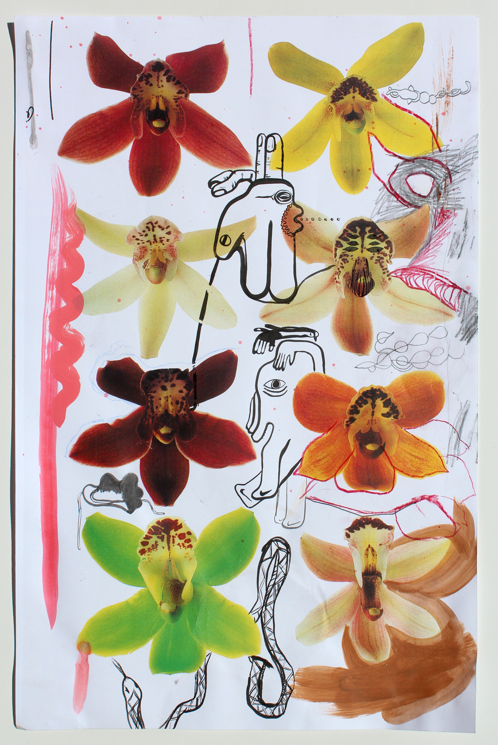UNTITLED_(ORCHID_JAMS_069)