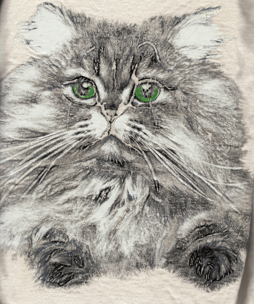CATSHIRT72.jpg