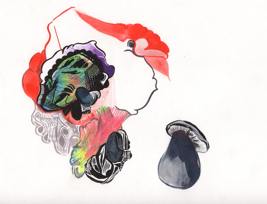 MUSHROOM72.jpg
