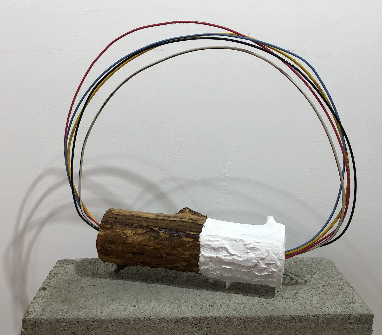 chandler wigton - subject to its natural limitations