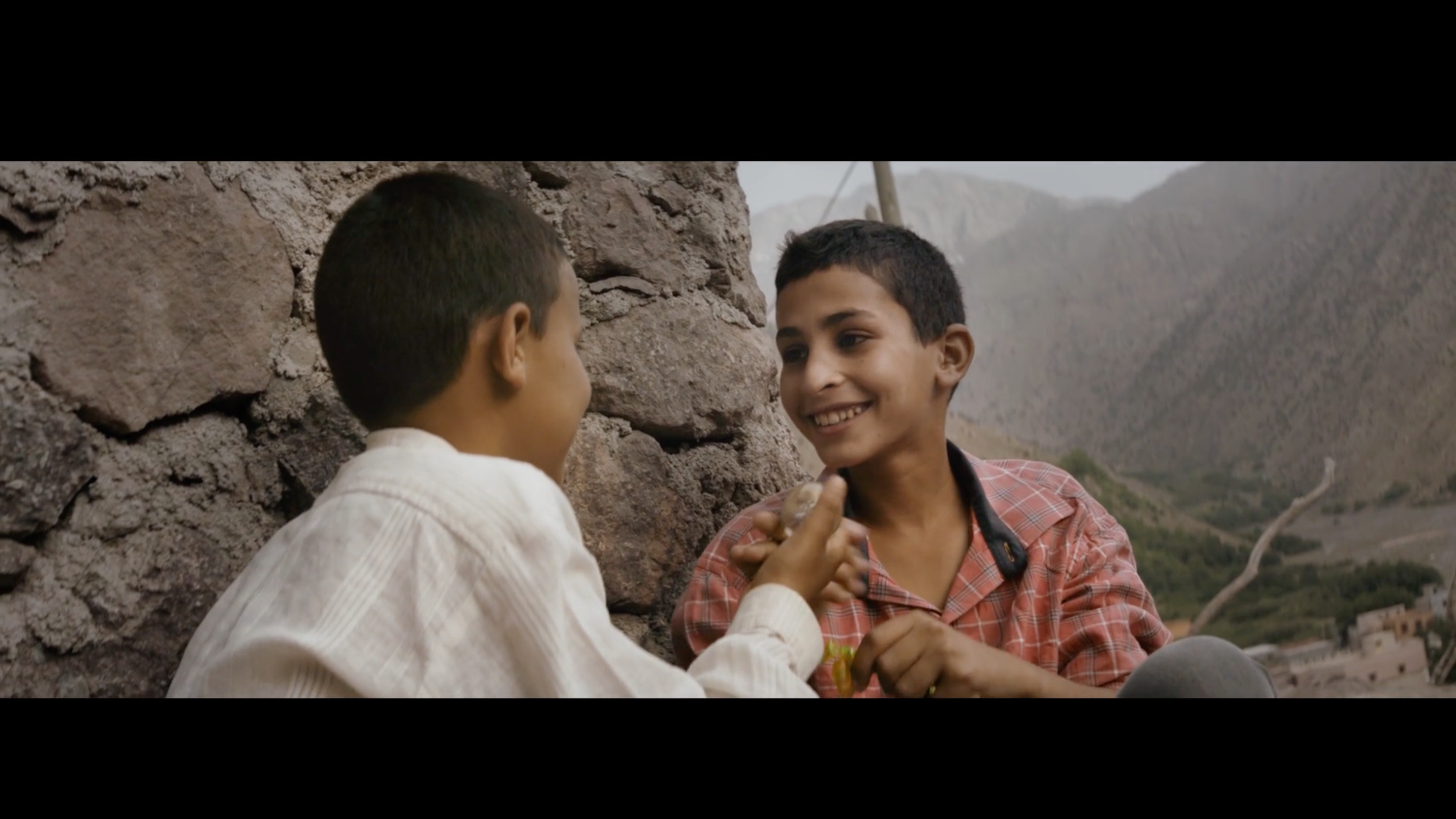 Gumtree/Eight/Eddy Bell