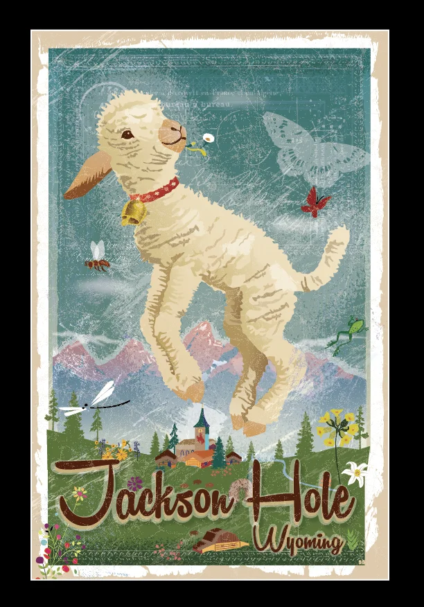 Spring Sheep Jackson-01.jpg