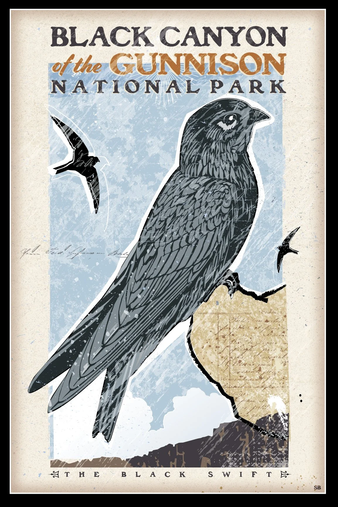 Black canyon black swift.jpg