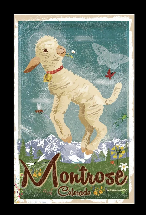 Spring Sheep Montrose-01.jpg