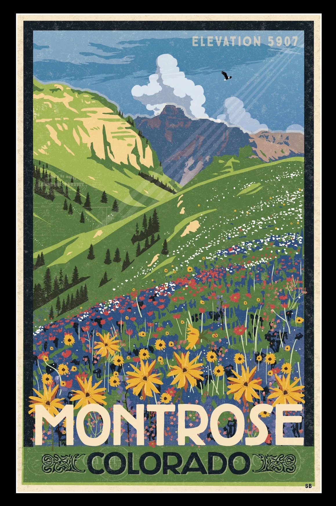 Montrose Wildflowers 2.jpg