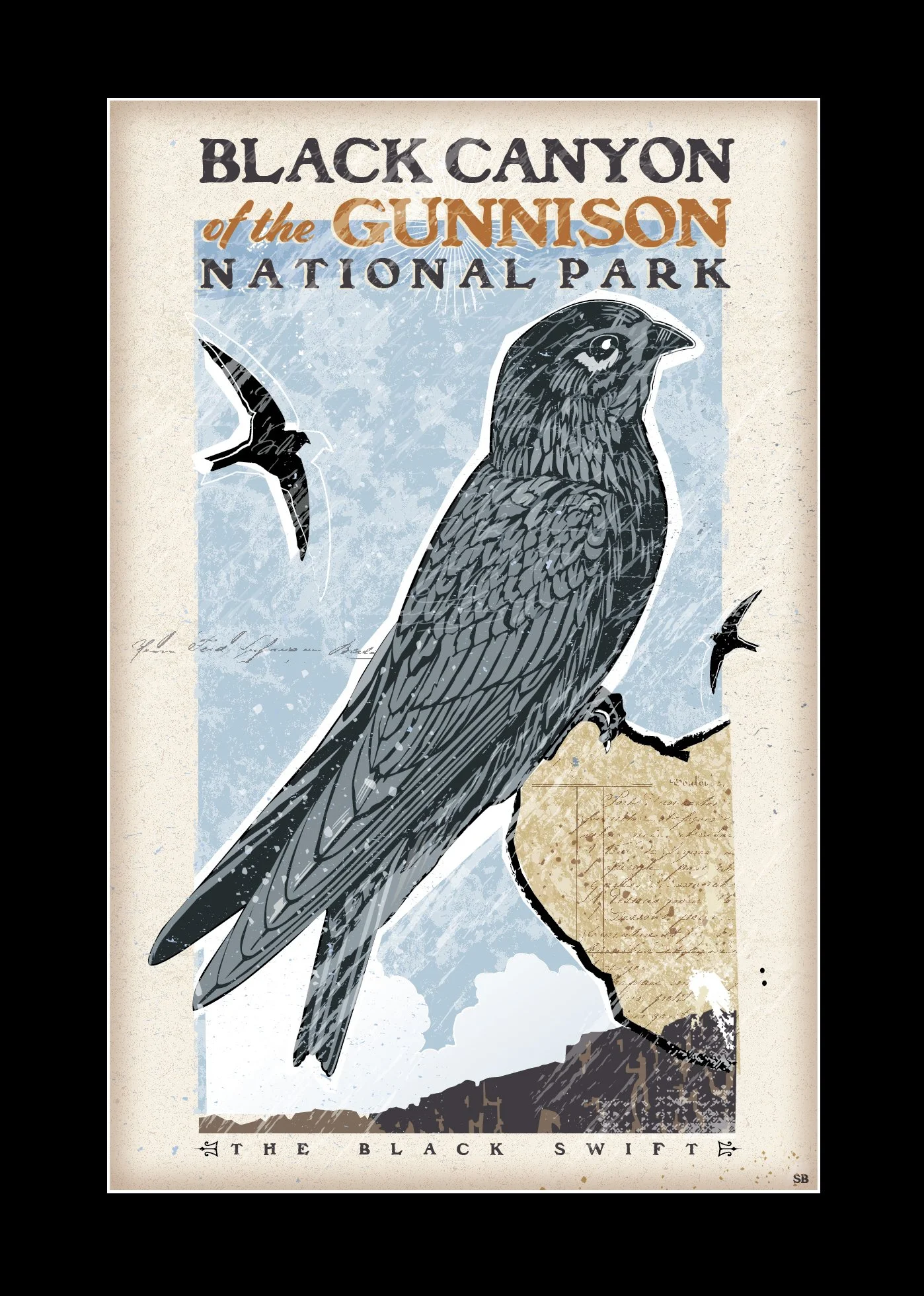 Black canyon black swift cropped.jpg
