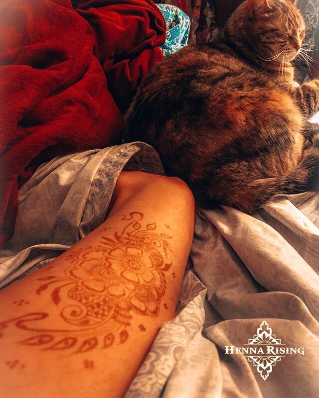 Henna and cat.... yup that&rsquo;s about it. 
#hennarising 
#southernexposuretulum 
#pandemicart 
#hennaloungepresets 
#rochesternyhenna 
#hennarochesterny