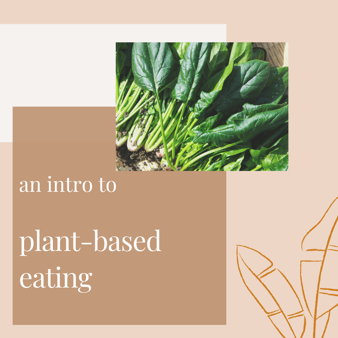 howtoplantbased.png