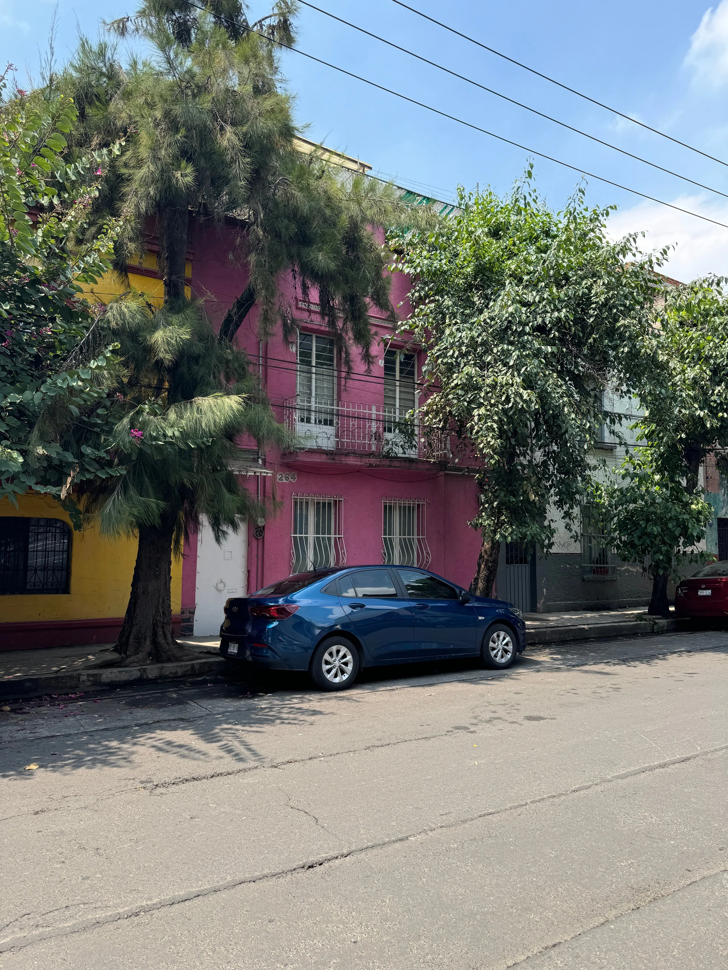 A7DADC6D-C312-4C16-B1D7-C38FD81B3CA1.JPG