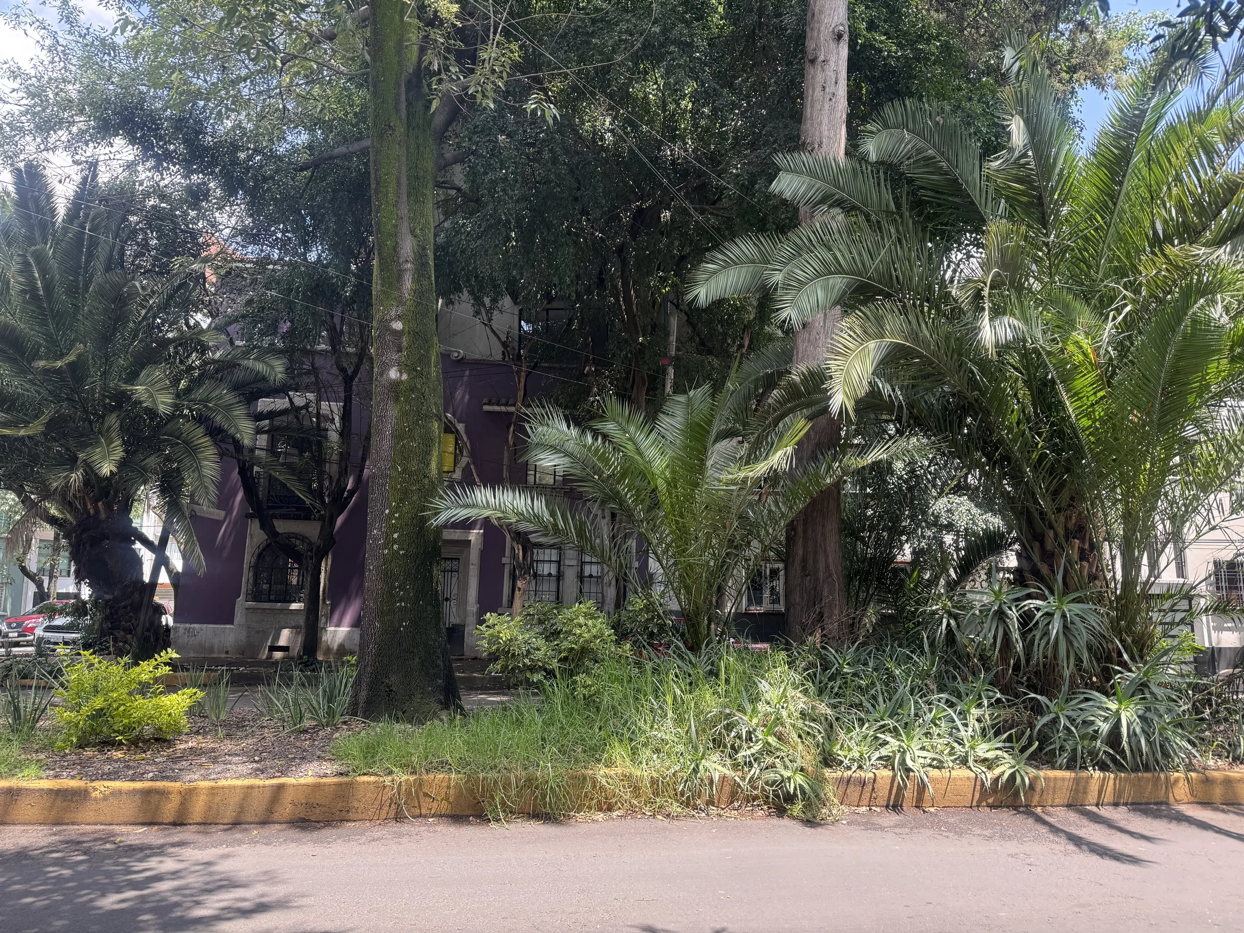 living in mexico city, as a brooklyn girlie. 