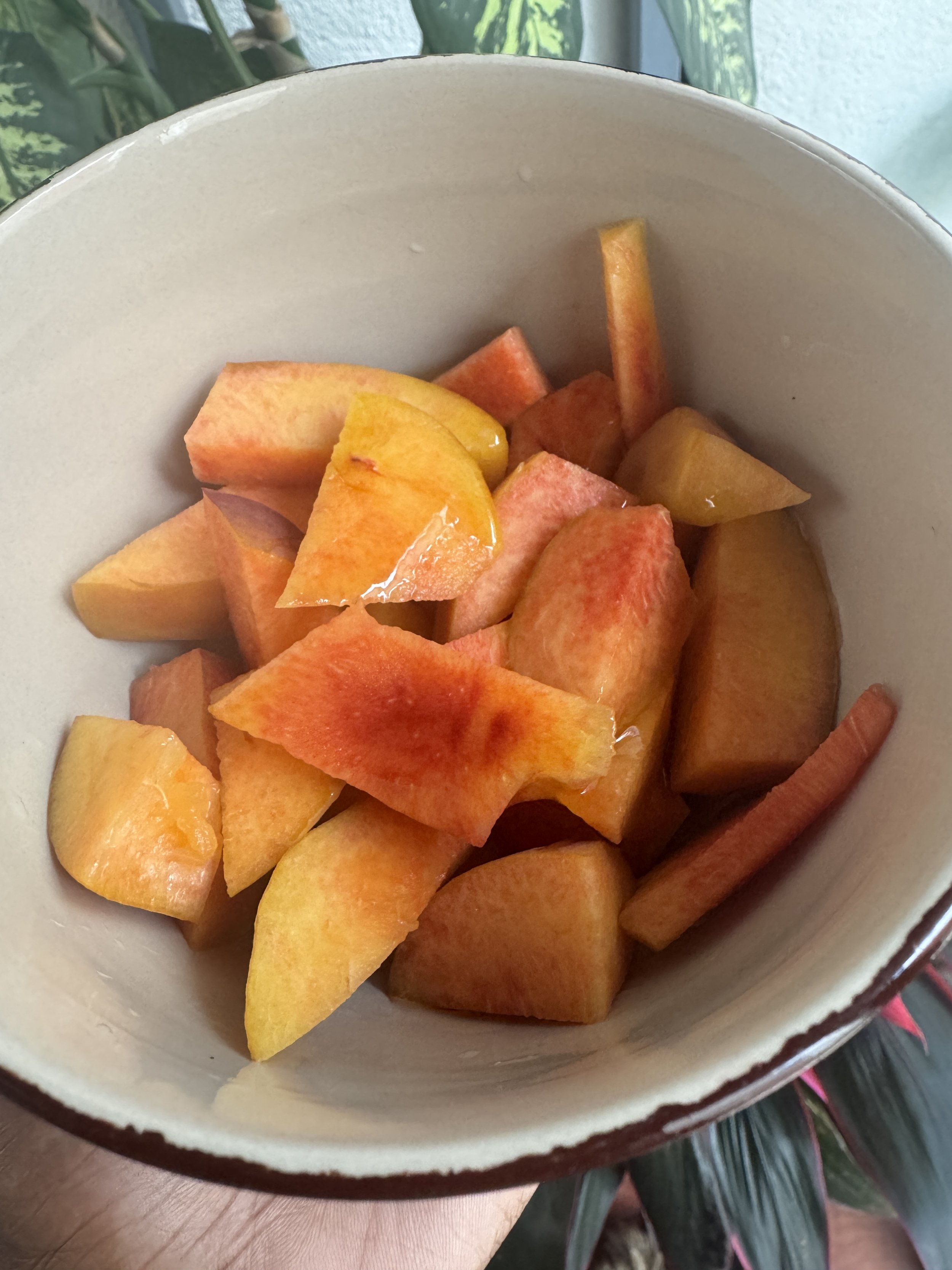 stop ignoring your gut before it makes you stop. 