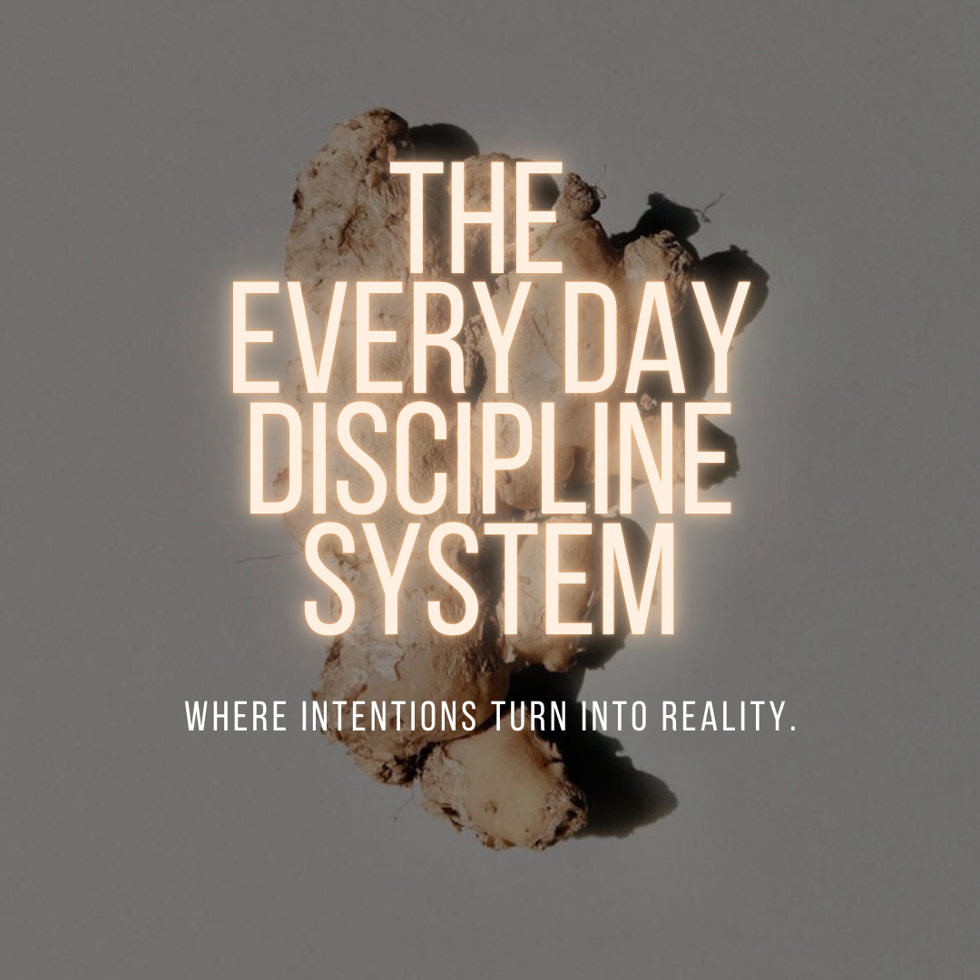 every day discipline.png