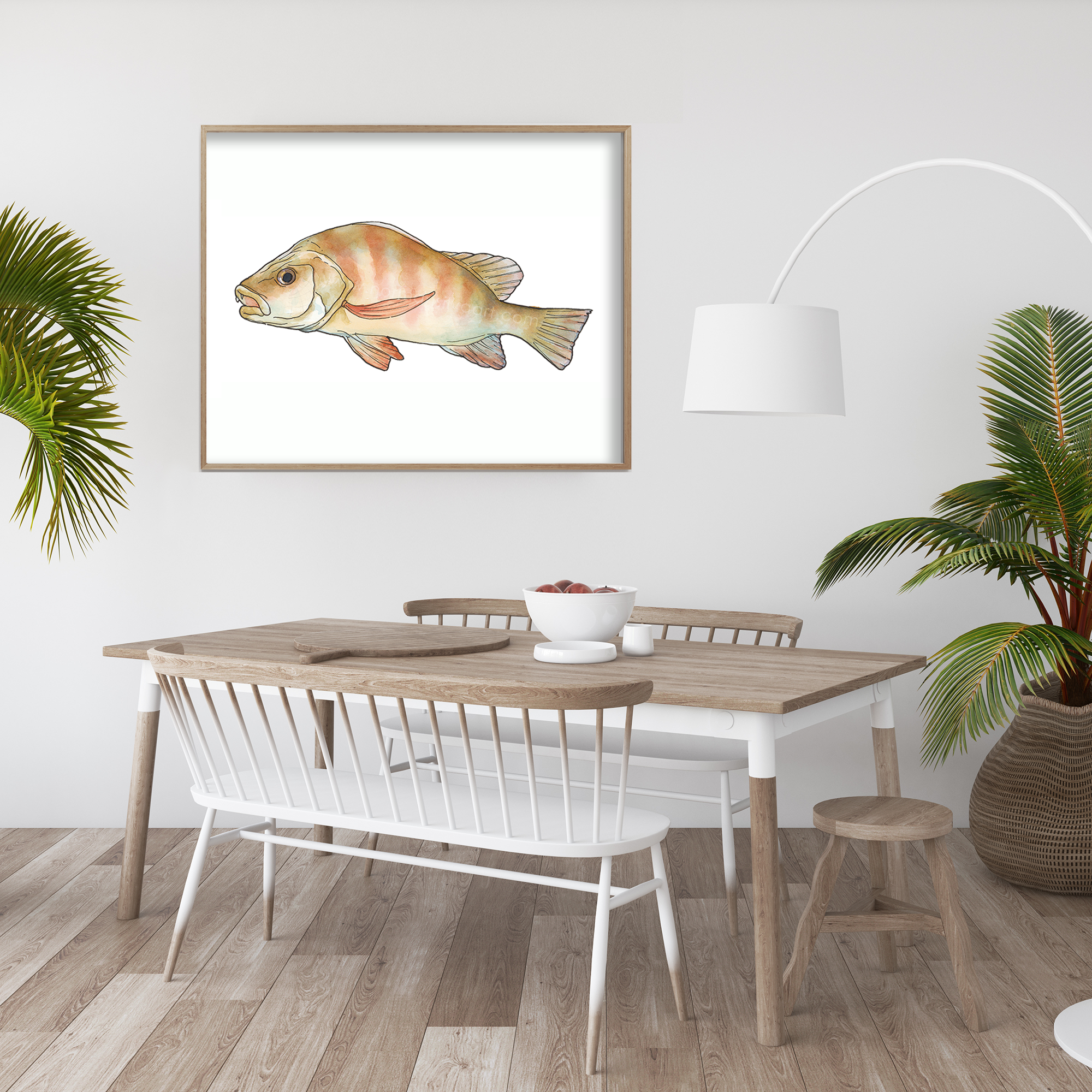 Limited edition Snapper fish watercolor Giclée print on museum-quality archival paper.