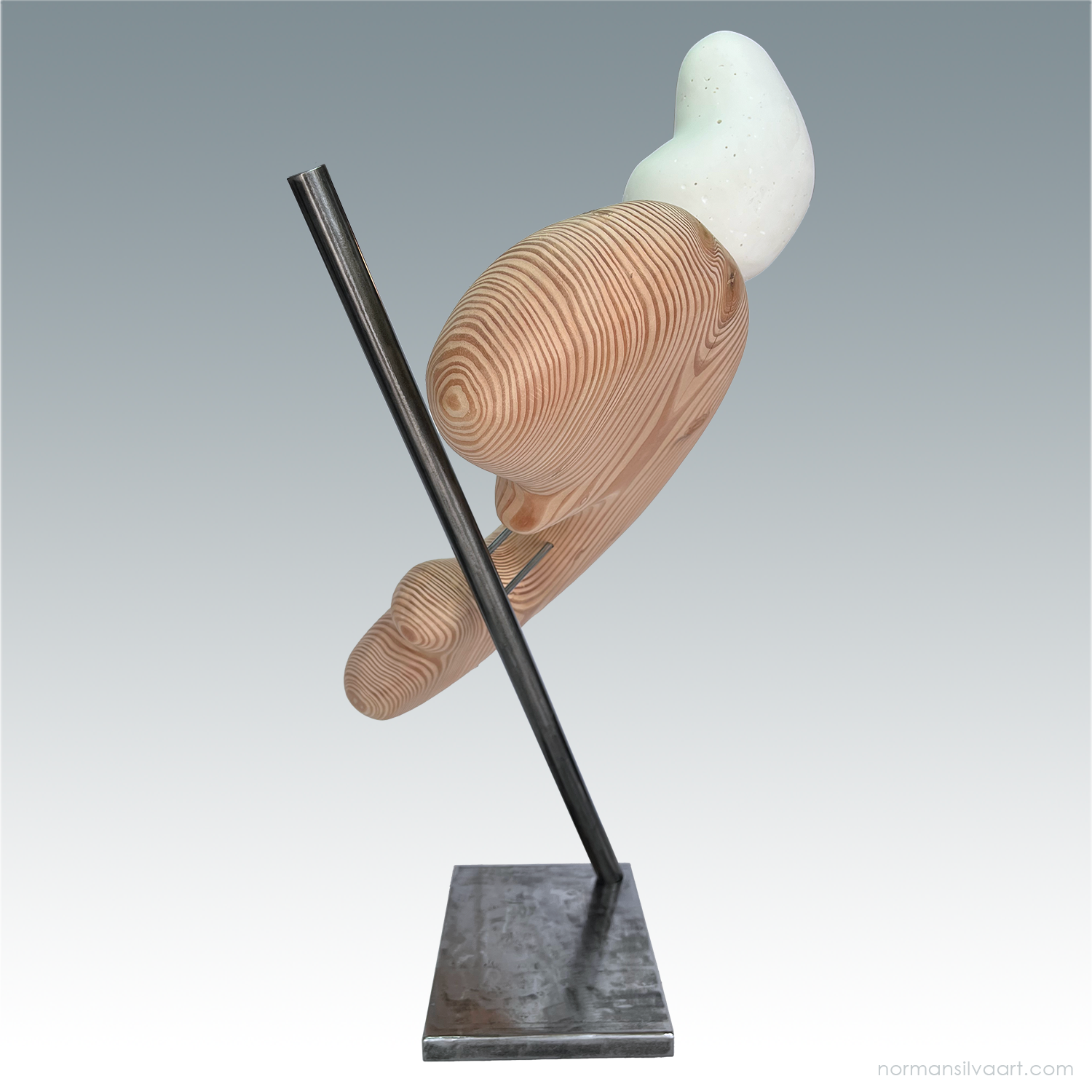 Collector art sculpture with organic wood and smooth plaster form