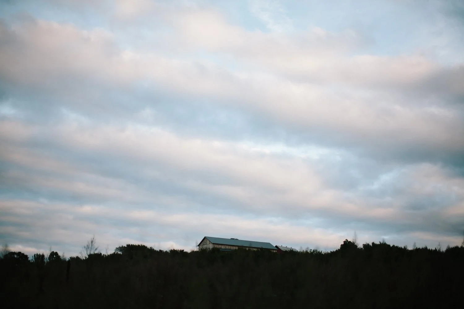 116.jpg