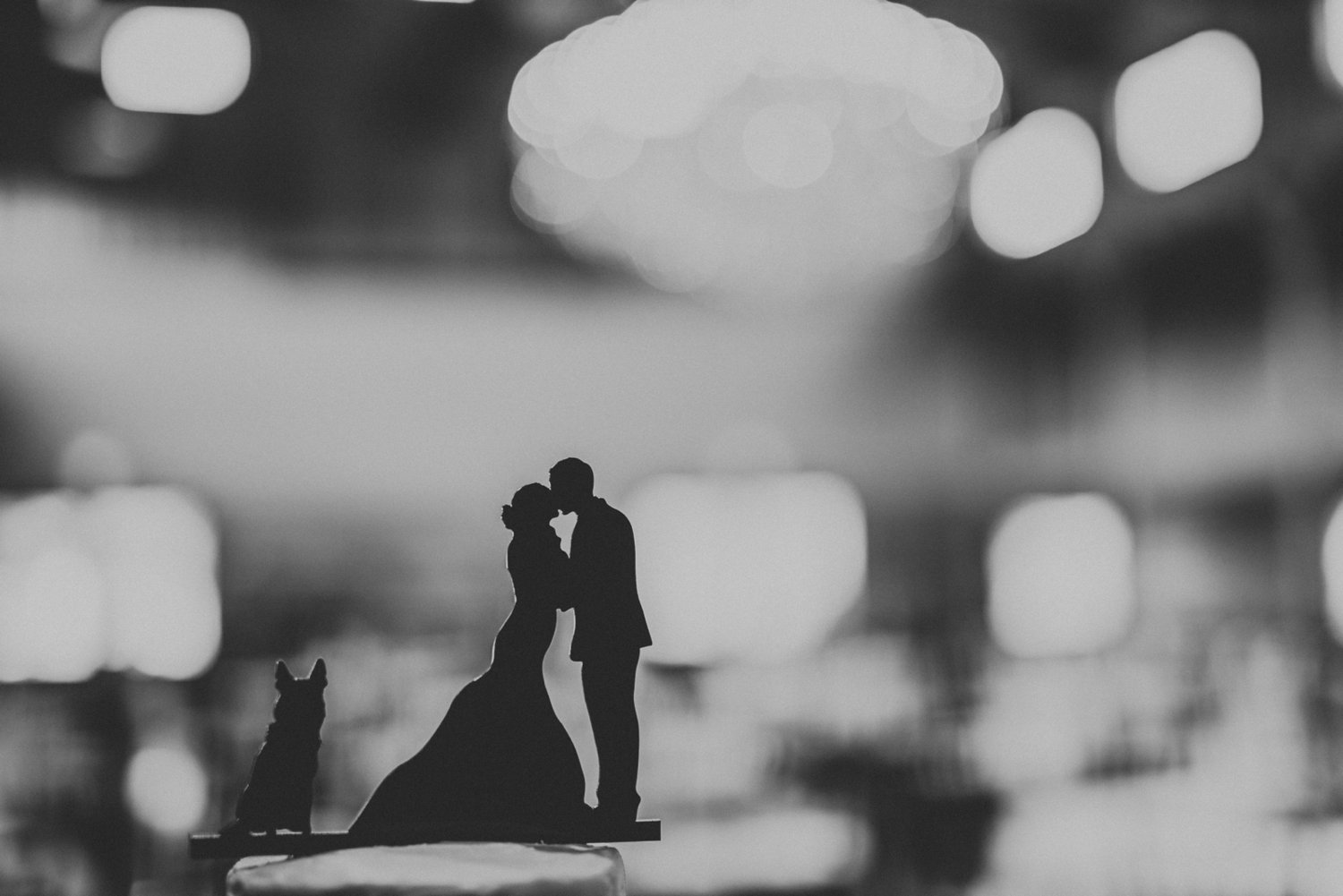 CSP-Jessica-Adam-Wedding-513.jpg