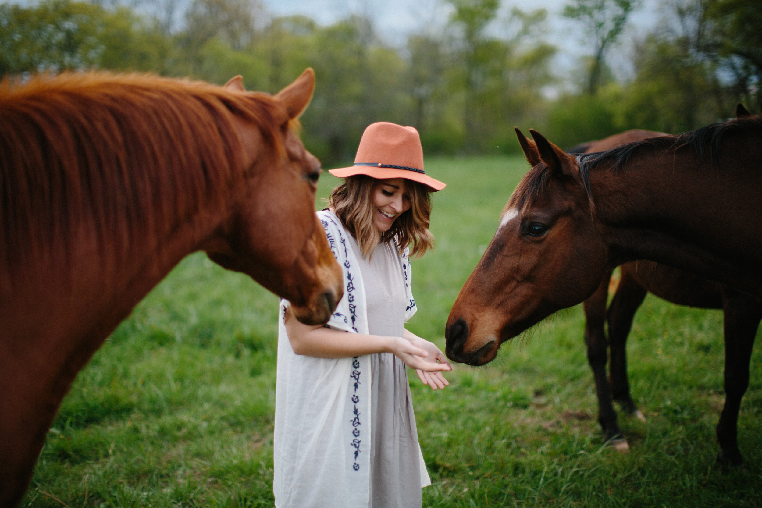 equine photography tampa