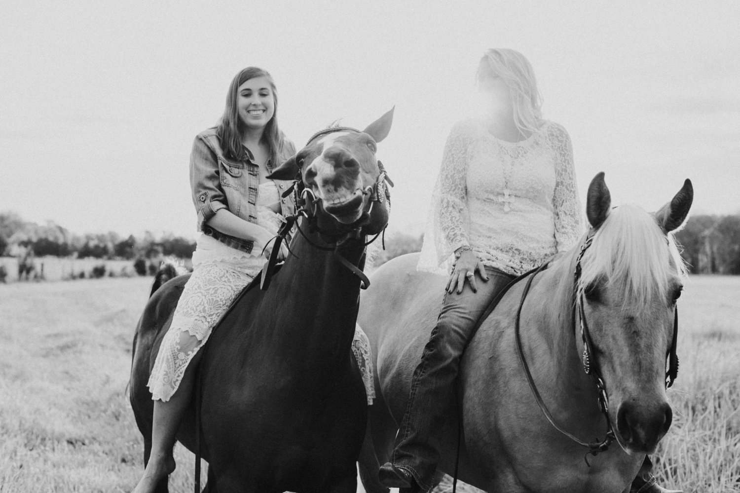 horse photography tampa