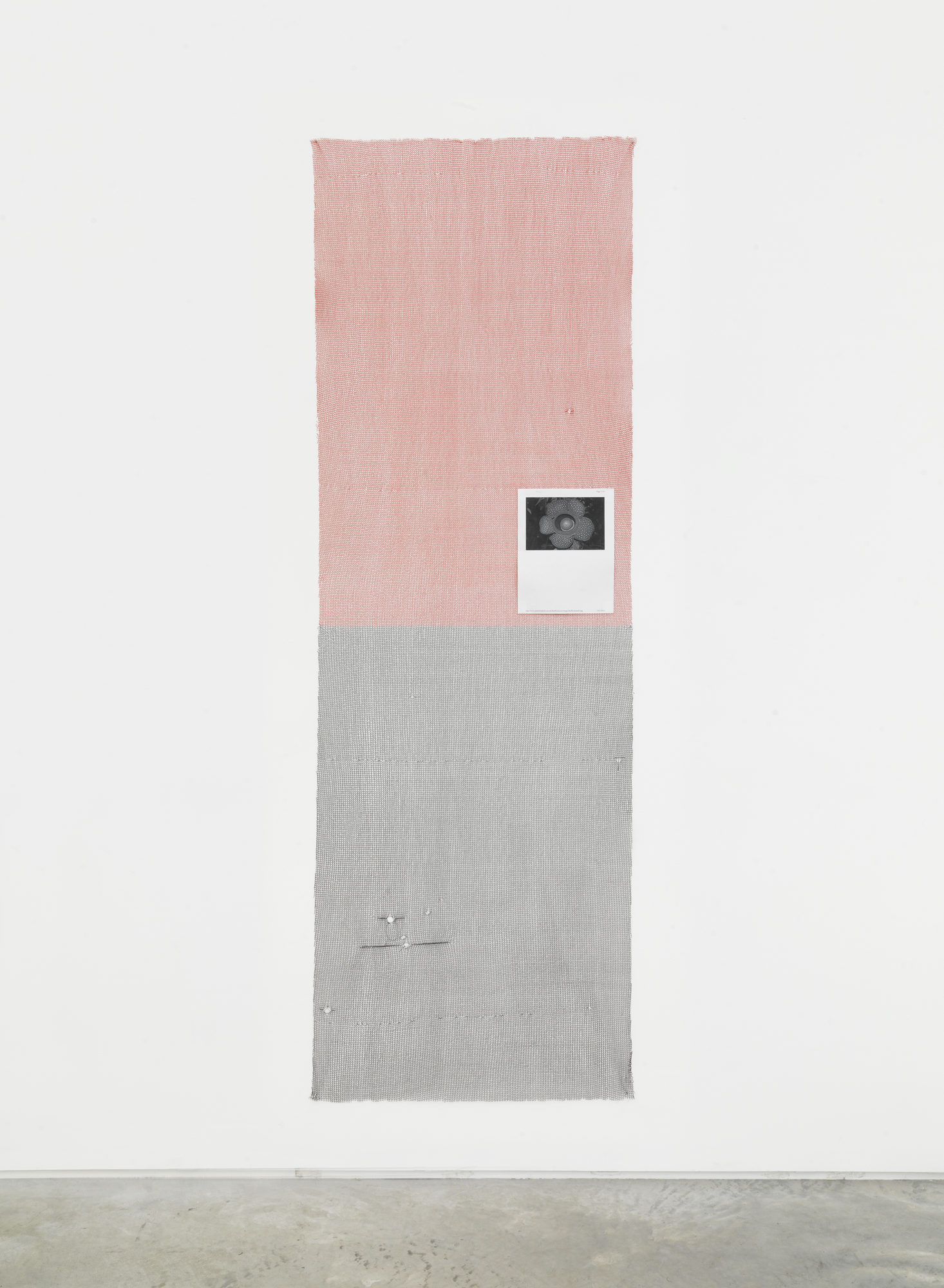 Putrid Flower (Sandinistas), 2015, Custom machine knit polyester, polyurethane, Xerox print
