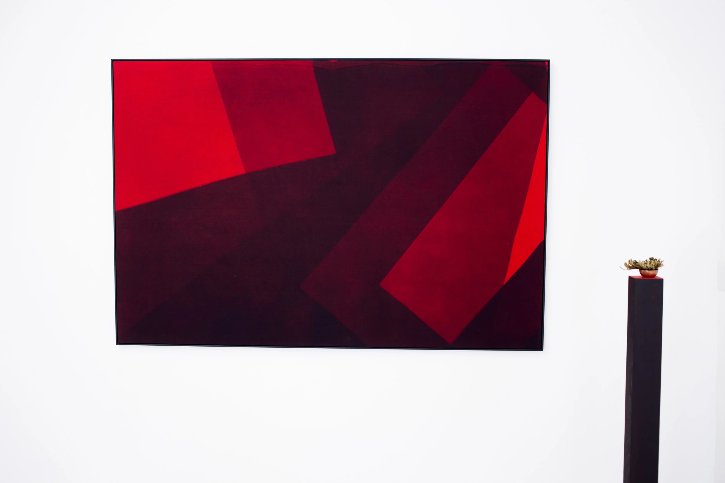 Lisa Kirk, Happiness is an Inside Job Not an Outside Job , 2016. Installation view. Efrain Lopez Gallery.