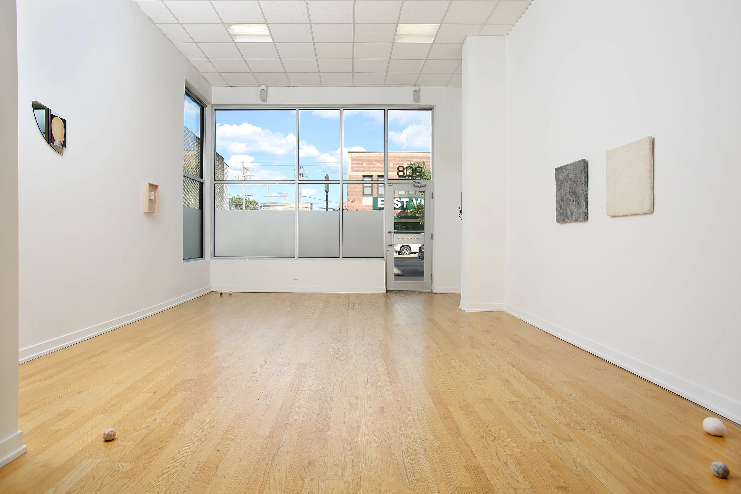 EXHIBITION VIEW, YELLOW TULIPS, 2017
