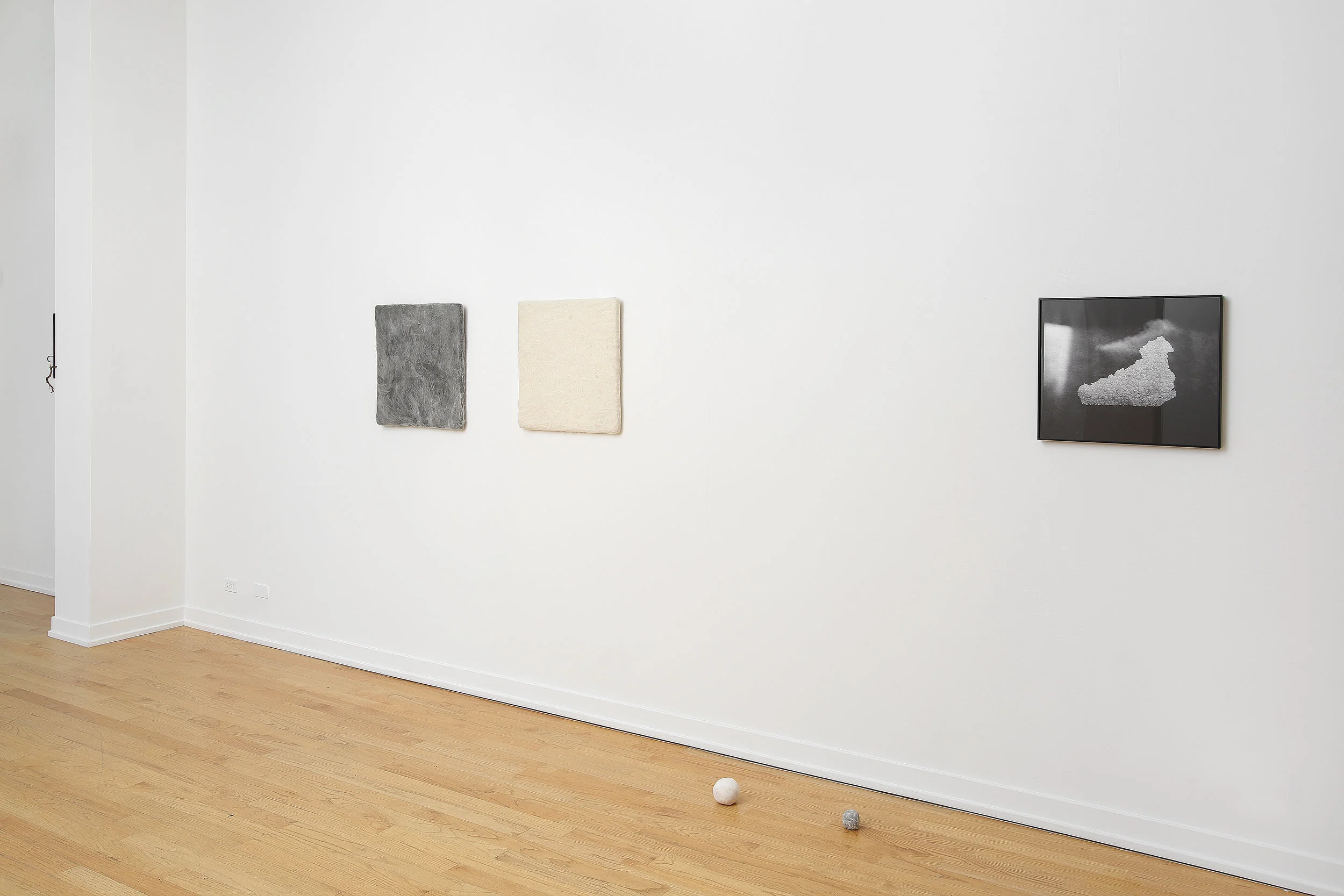 EXHIBITION VIEW, YELLOW TULIPS, 2017