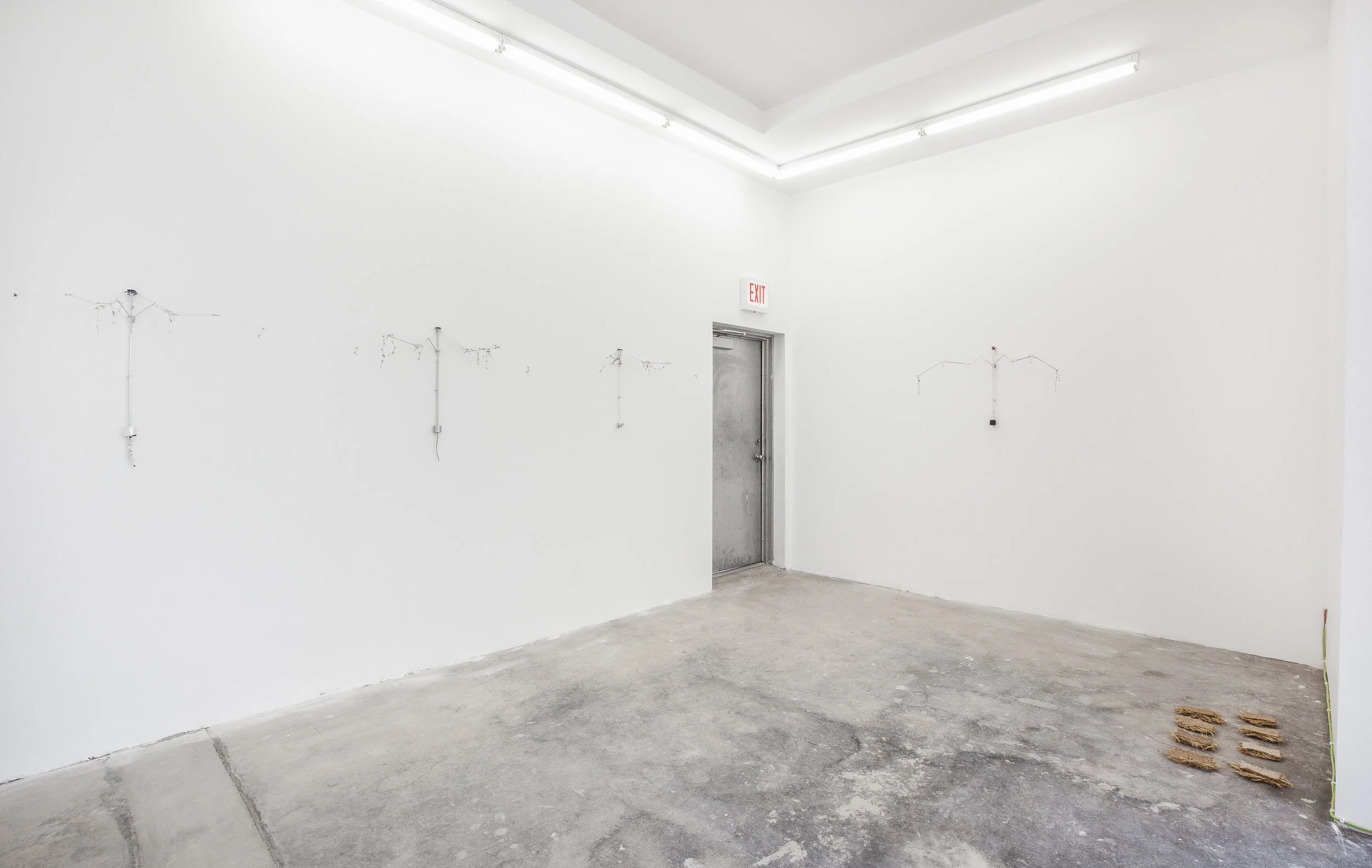 Installation view, No Man’s Land, 2018, Efrain Lopez Gallery, Chicago