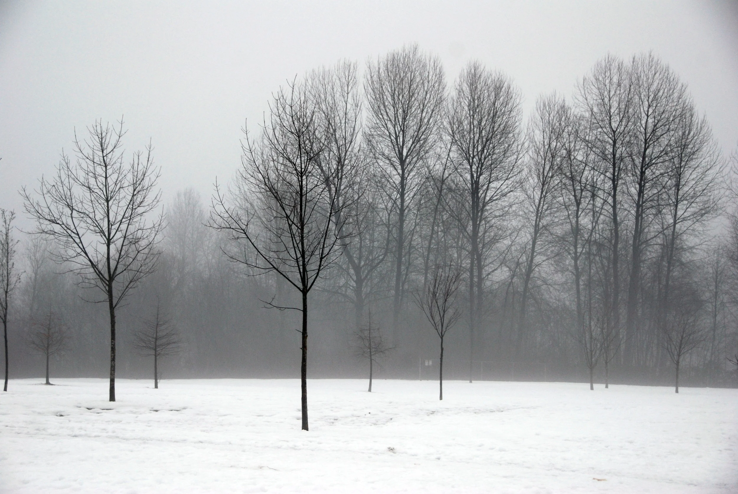 winter.jpg