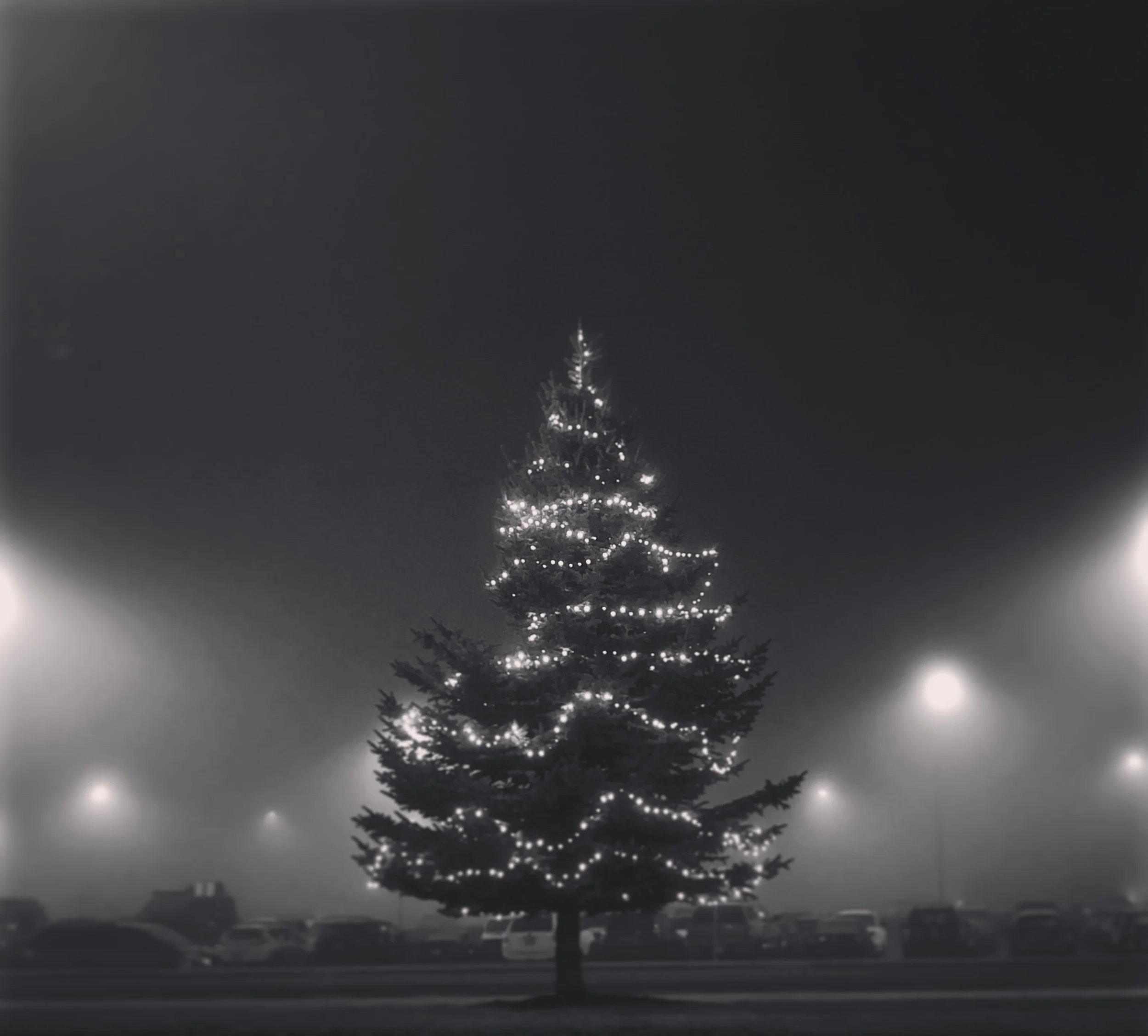 7D7480C5-5494-45F0-BE00-E155368BA32F.JPEG