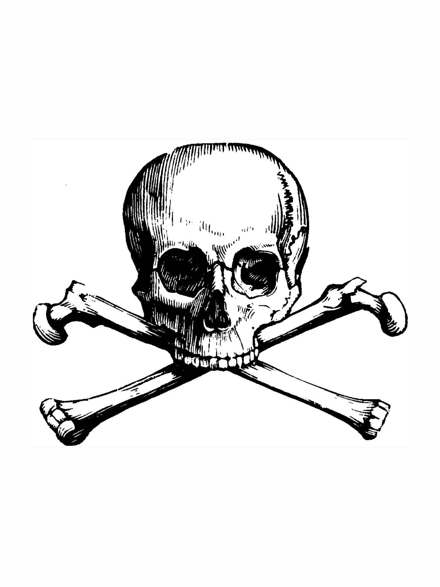 coloring-skull.jpg