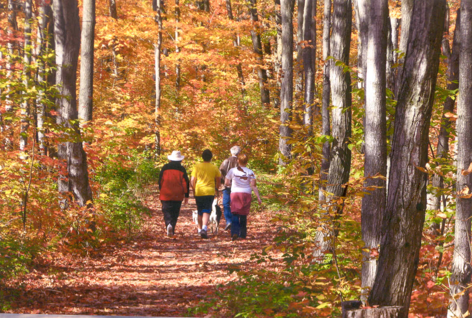 Recreation Trail