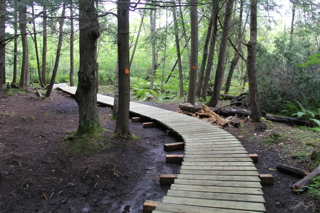 Lookout Point Trail