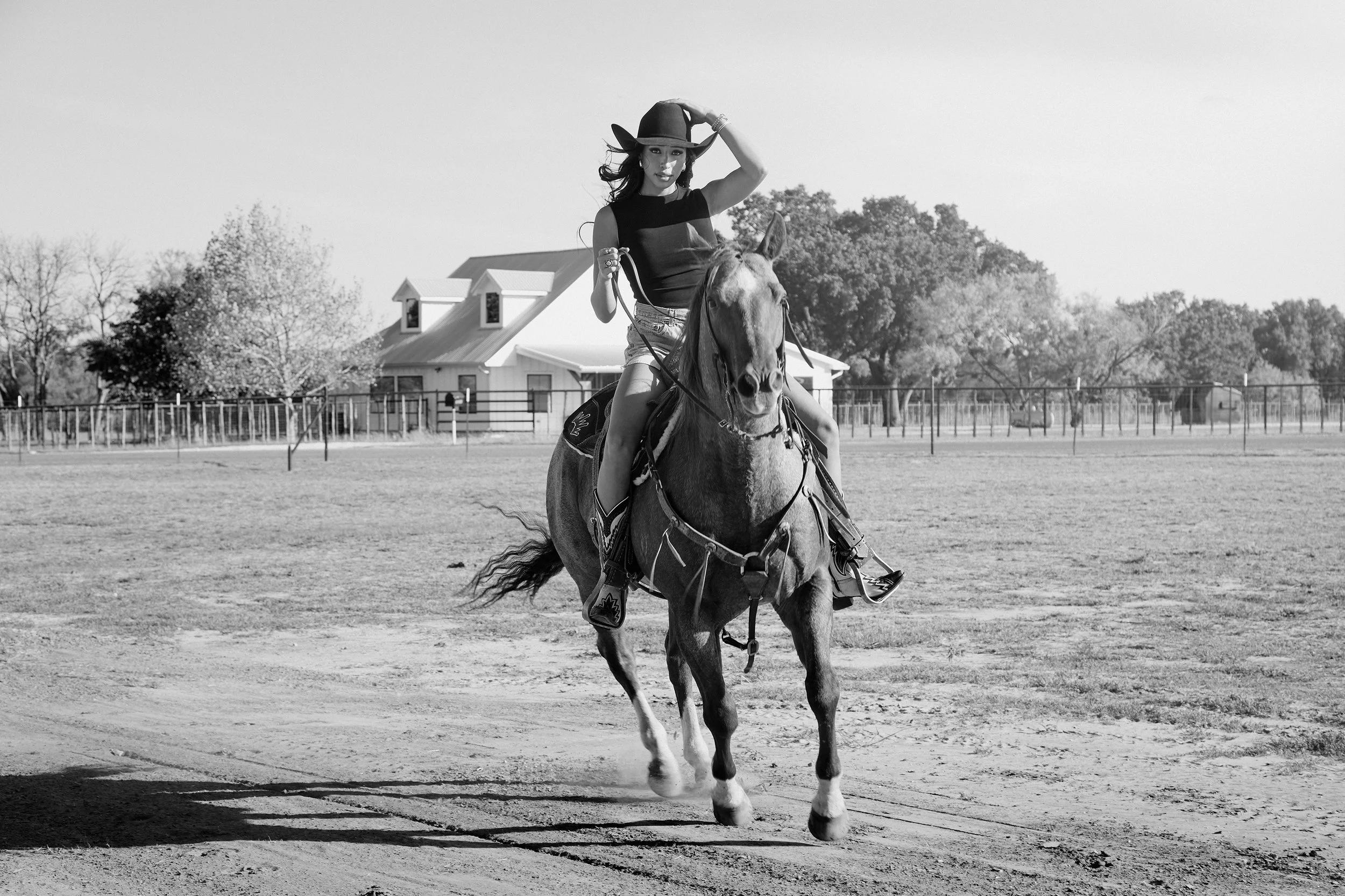SHELBY_HORSE_3.jpg
