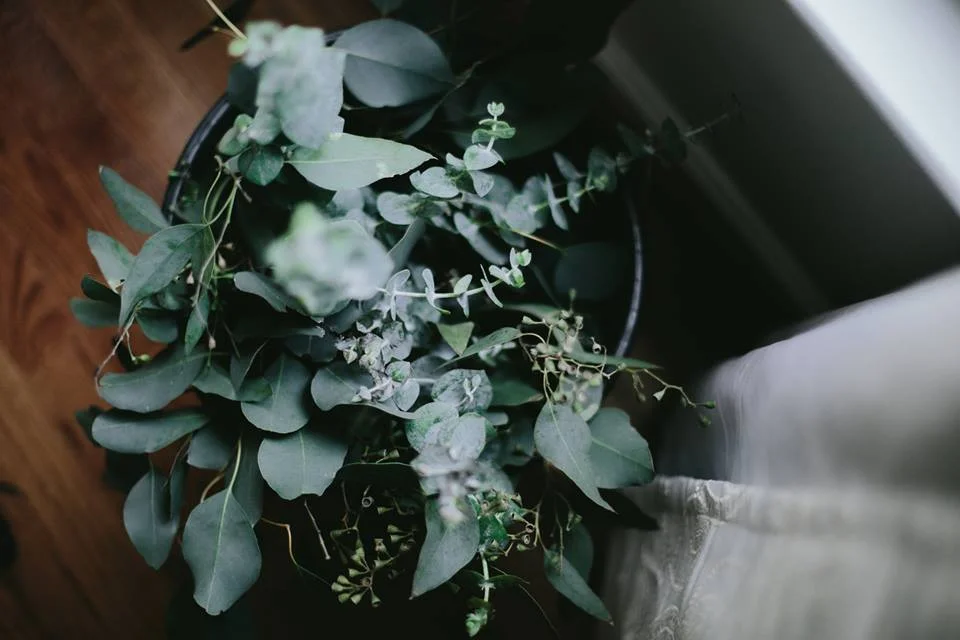 Eucalyptus Bouquets for the Bridal Party